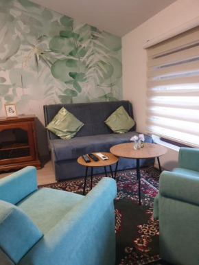 Apartman Willow